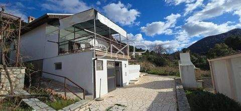 Ston Häuser, Ston Haus kaufen