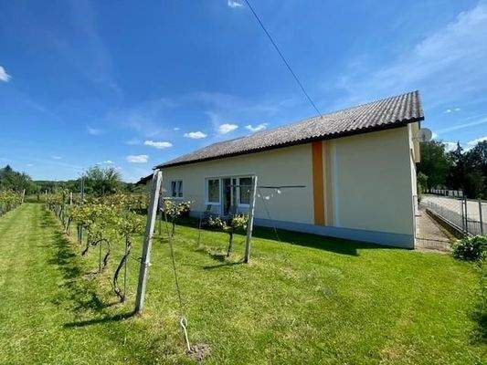 Seitenansicht mit Weinreben