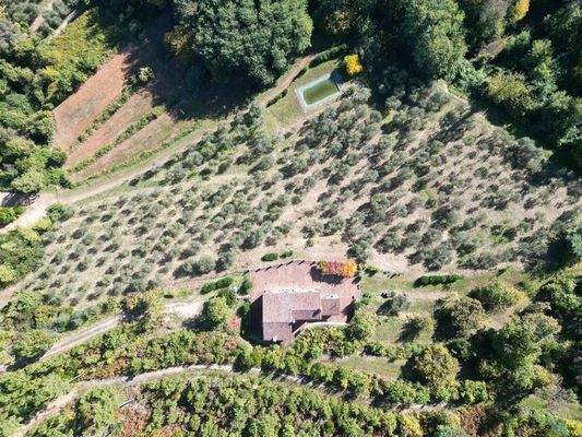 DJI_0877 - 1K JPEG.jpg