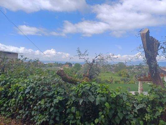 WhatsApp Image 2025-08-28 at 09.40.20 (3)