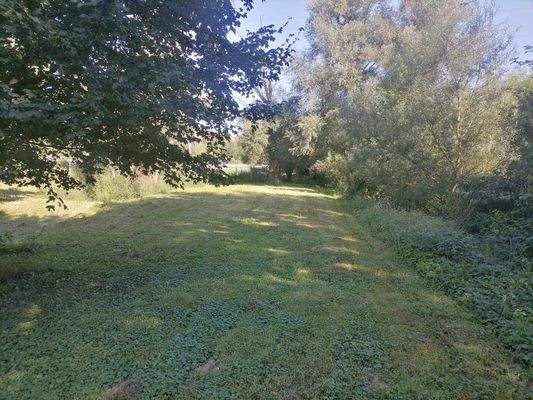 379595616_336275418787612_1414594364616367805_n.jp