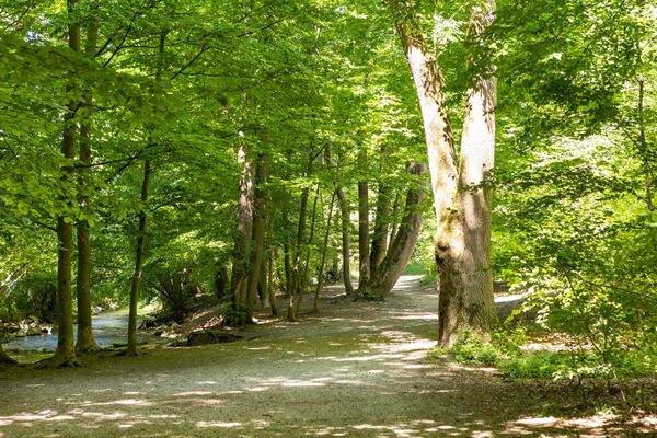 Umgebung Dachstrasse 56