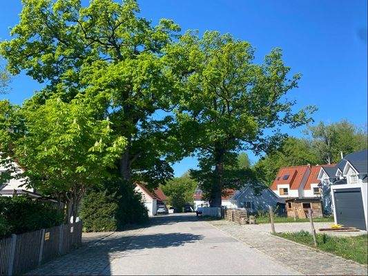 Anliegerstraße beim Grundstück