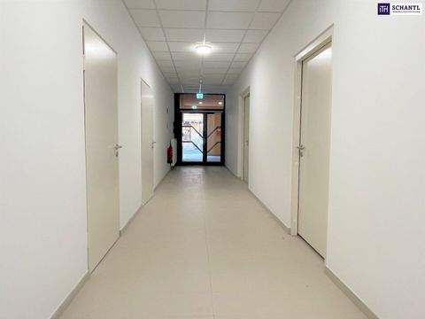 Feldbach Büros, Büroräume, Büroflächen 