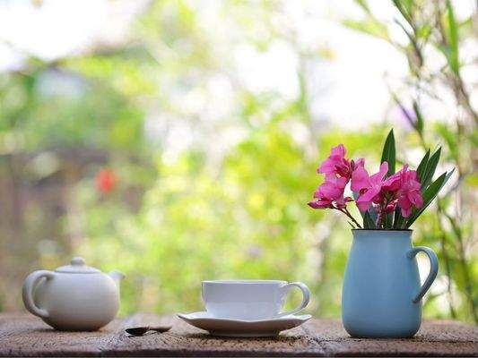 Eigenes Gärtchen.jpg