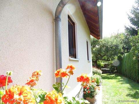 Nossen Häuser, Nossen Haus kaufen