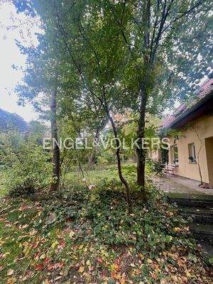 Umgeben vom satten Grün