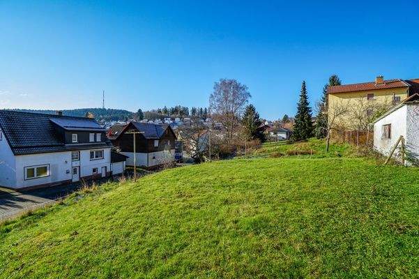 Grundstücksansicht von Osten