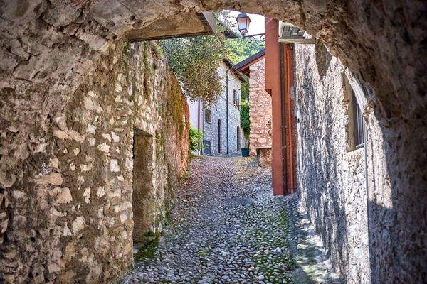 Biaza - Loc Fasor 10 - ID1_5213 (WEB).jpg