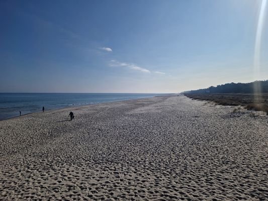 Strand Prerow