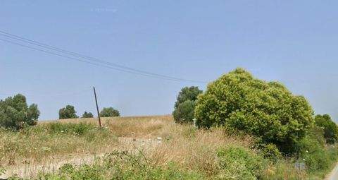 Chalkidiki Bauernhöfe, Landwirtschaft, Chalkidiki Forstwirtschaft