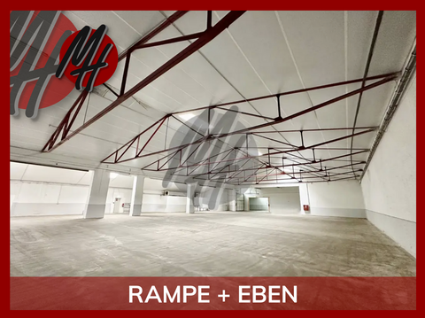 Rödermark Halle, Rödermark Hallenfläche