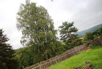 Aussicht ins Grüne.JPG