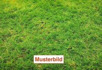 Beispielbild GRD 1.jpg