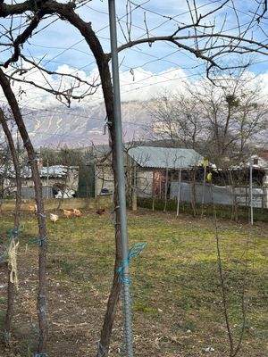 WhatsApp Image 2025-12-29 at 13.02.25.jpeg