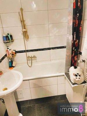 hier fühlt sich nicht nur der Hauskater wohl 