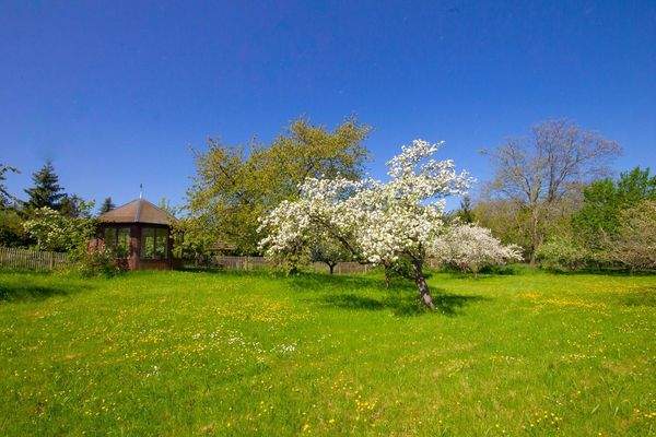 Pavillon zur Kirsch - und Apfelblütenzeit