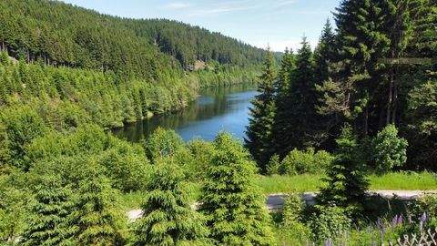 Lavamünd Häuser, Lavamünd Haus kaufen