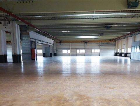 Göppingen Halle, Göppingen Hallenfläche