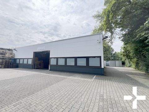 Mönchengladbach Halle, Mönchengladbach Hallenfläche