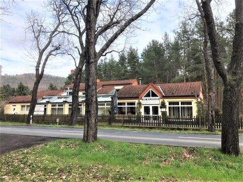 Dresden Häuser, Dresden Haus kaufen