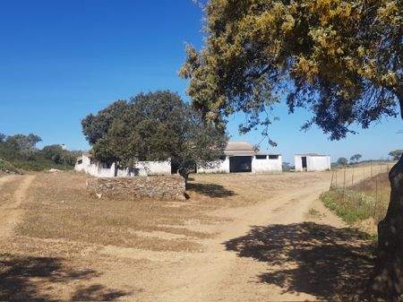 c5f069d8-f821-4c35-92b5-8718f529960b