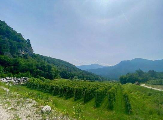 Obstbau-Apfelplantagen-Apfel-Trient-Haus-Kubatur-Bauen-Garage-Geräteschuppen-Frutticoltura-mela-frutteto-mela-Trento-casa-cubatura-edificio-garage-attrezzature-capannone