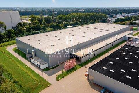 Bremen Halle, Bremen Hallenfläche