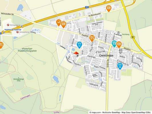 Geolyzer Kartenausschnitt