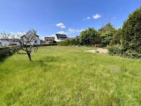 Rheine Grundstücke, Rheine Grundstück kaufen
