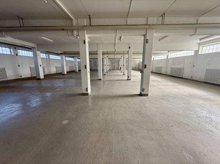 Lagerflächen Untergeschoss