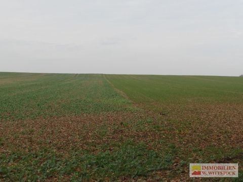 Marienfließ / Stepenitz Bauernhöfe, Landwirtschaft, Marienfließ / Stepenitz Forstwirtschaft