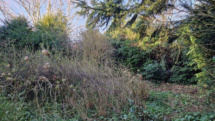 Das Baugrundstück am 19.03.2026