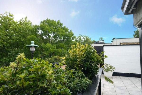 Ausblick in die Baumkronen