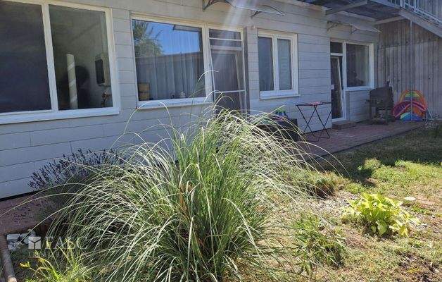 Terrasse + Gartenbereich