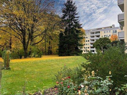 Grundstück hinter dem Haus