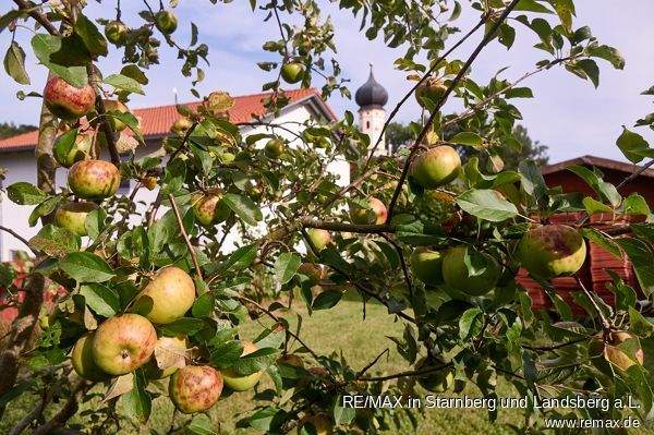 Eigener Garten mit Obstbäumen