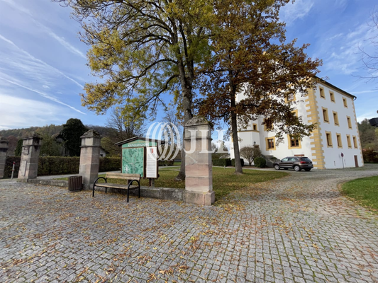 Impressionen_Schmidmühlen (11)