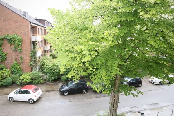 DIE STRAßE IM BLICK