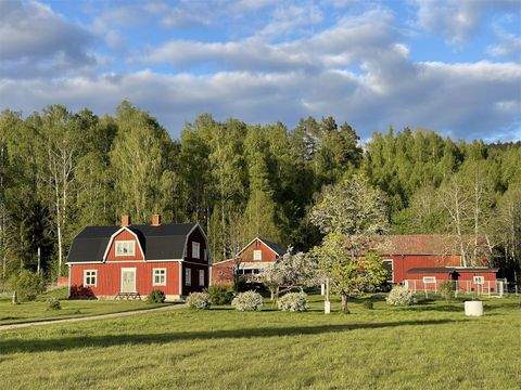 Sunne Häuser, Sunne Haus kaufen