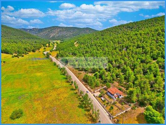 832af618c3ea4d93be72fe15eab1c1df-original