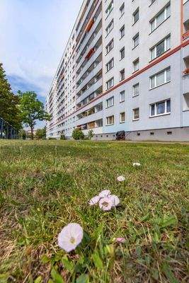 Ansicht Balkonseite des Objektes