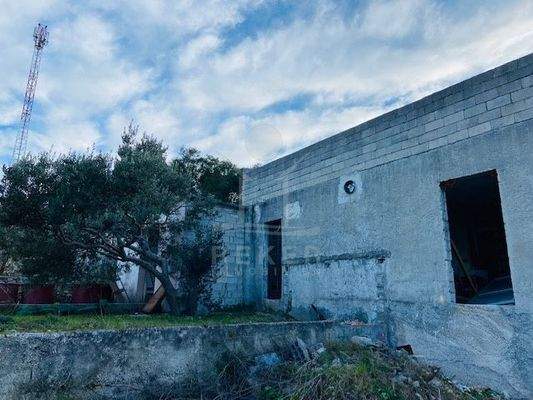 Einmalige Gelegenheit