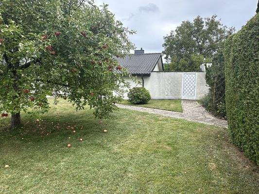 Vorgartenbereich und Eingang