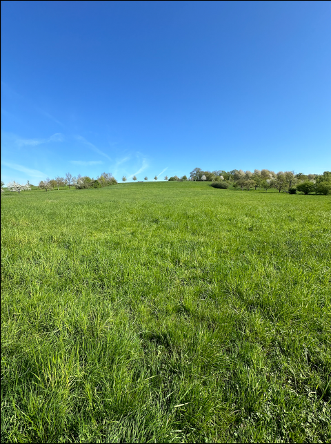 Esslingen am Neckar Bauernhöfe, Landwirtschaft, Esslingen am Neckar Forstwirtschaft