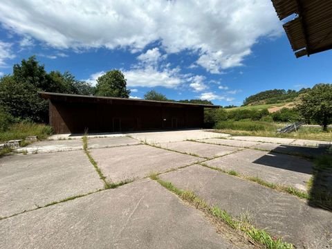 Sontra - Berneburg Halle, Sontra - Berneburg Hallenfläche