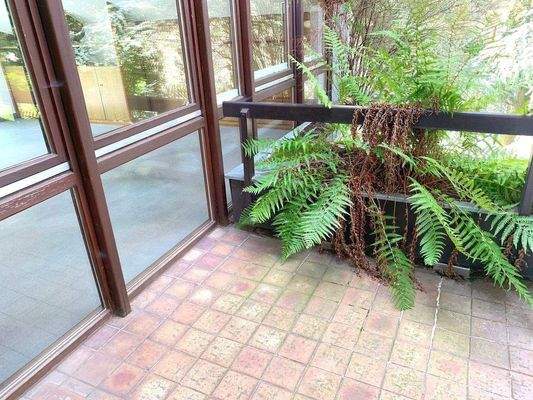 Geschützte Terrasse.jpeg