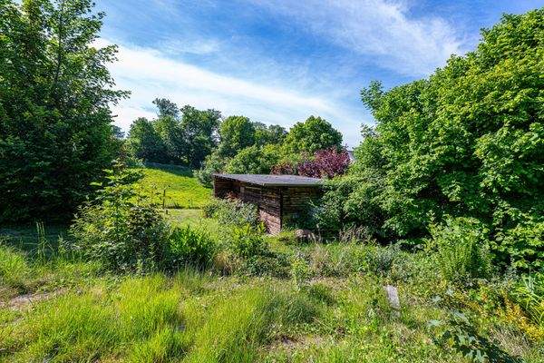 Impressionen des weitläufigen Grundstücks