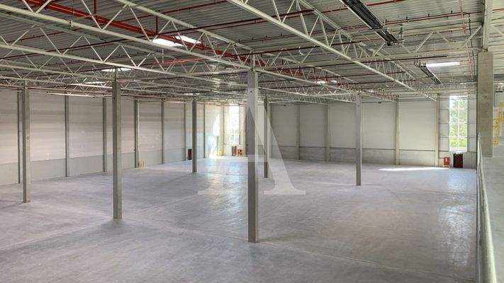 Innenansicht Hallenfläche 