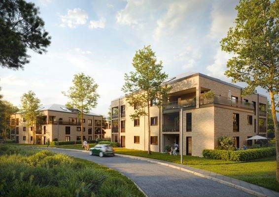 20260223_Haar_Aussen_kam 001_LOW.jpg